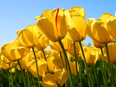 3255_1405409103_alsdhajsdhk.jsadhakdkjadhkjasdhkjahsdkjhaskjhsadjhaskjdhkjashdkjashdkjashdkjhaskjdhasdjhaskjdhkja.jpg